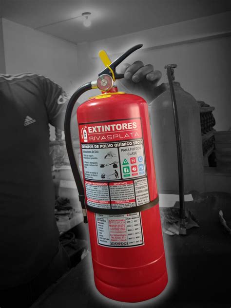 Todo Lo Que Necesitas Saber Sobre Extintores