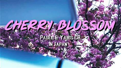 Cherry Blossom Toyota Paseo And Yaris Gr Youtube