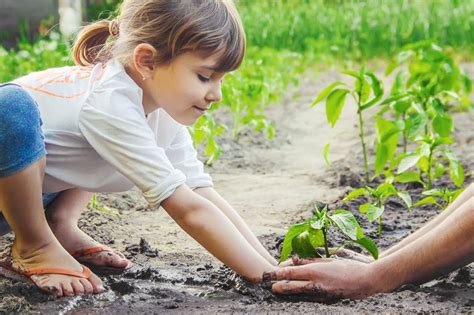 How Gardening Helps Kids Grow 25 Ways It Benefits Their Development