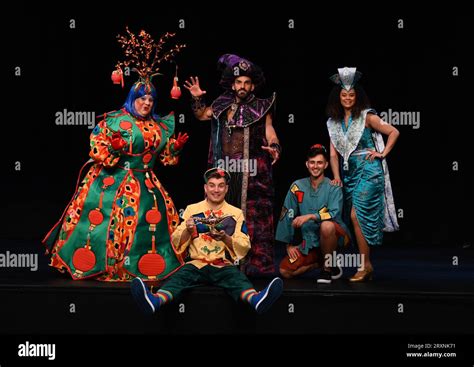 Will Aladdin save the day? Will Princess Jasmine get her way? Will the