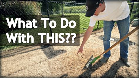 These include ryegrass, fine fescues, roughstalk bluegrass, and bentgrass. Seeding a New Lawn? Don't MISS THIS STEP - YouTube