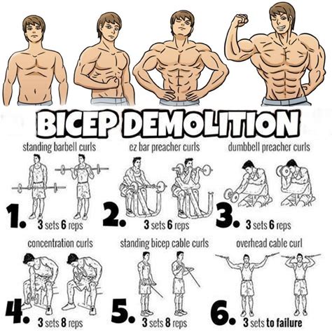 grow biceps increase bicep size boost muscle growth bulk up quickly increase muscle mass