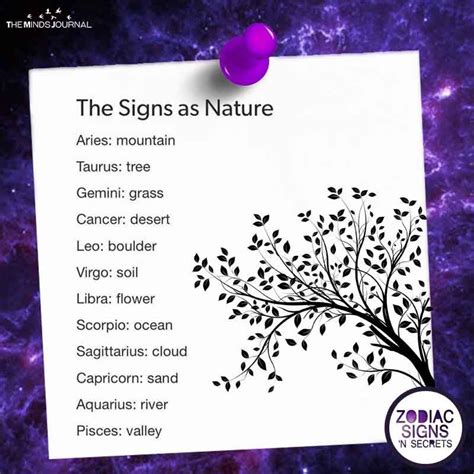 The Signs As Nature The Signs As Nature
