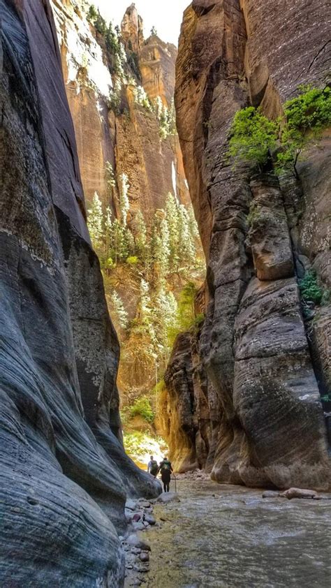 Hiked The Full 16 Mile Narrows Trail At Zion National Park Utah Travel