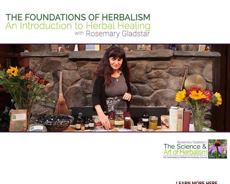 An Introduction To Medicinal Herb Formulation The Science And Art Of