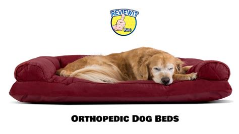 We did not find results for: Best Orthopedic Dog Beds 2020 On Amazon [Most Comfortable ...