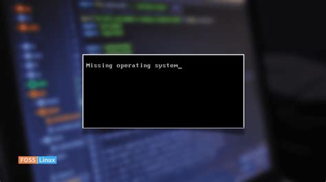 How To Fix Missing Operating System Error On Linux Boot