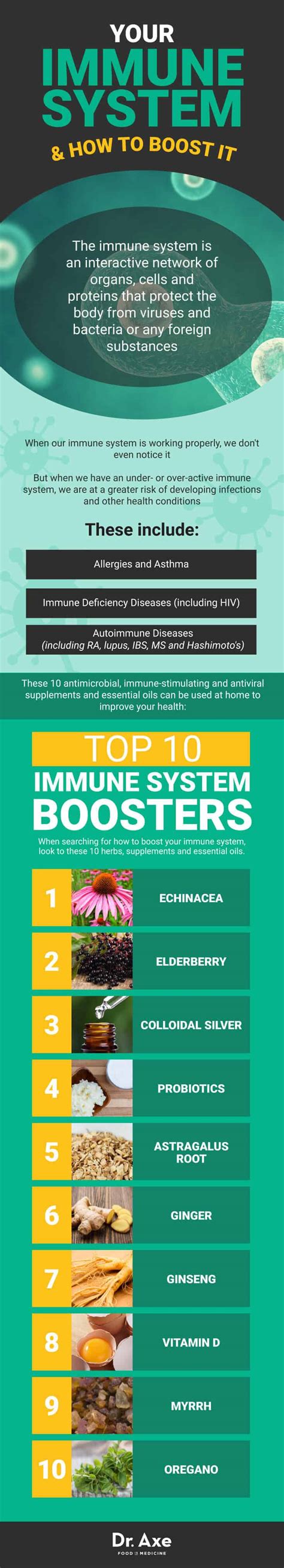 Best foods to boost immune system. How to Boost Your Immune System — Top 10 Boosters - Get ...