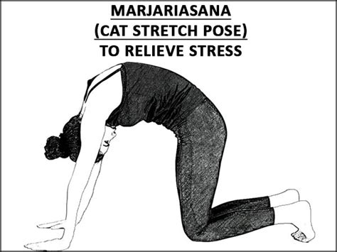 Marjariasana Cat Stretch Pose To Relieve Stress