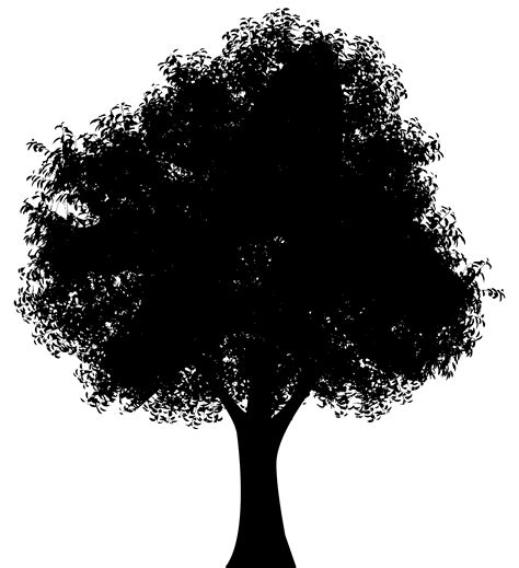 Tree Oak Silhouette Clip Art Oak Png Download 73018000 Free