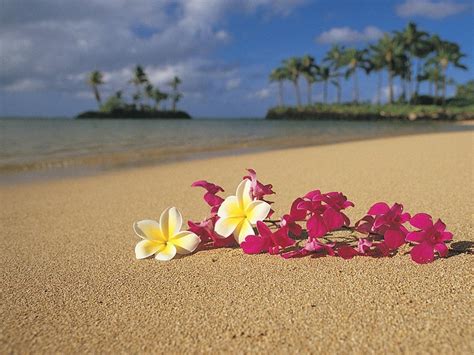 Hawaii Background Images Wallpaper Cave