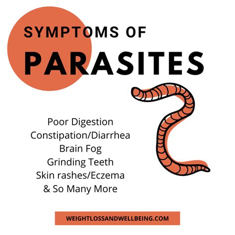 Symptoms Of Parasites Weight Loss And Well Being