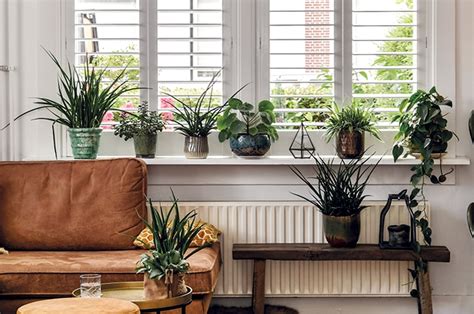 Interieur Raamdecoratie Inspiratie And Trends Houten Shutters