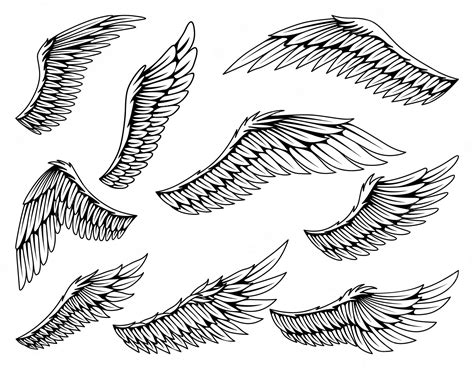 Premium Vector Collection Of Vintage Heraldic Wings Sketch Monochrome