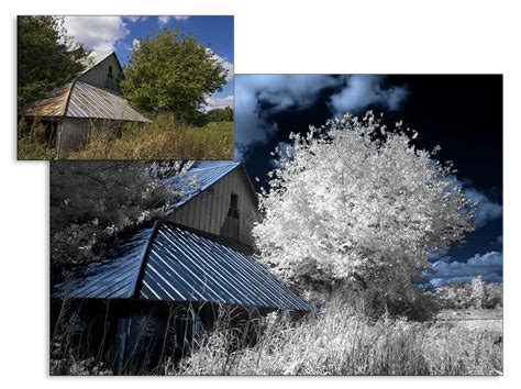 Infrared Photography Experimentation F64 Academy