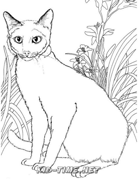 Realistic Cat Cat Coloring Book Page Sheet 013 Kids Time Fun Places