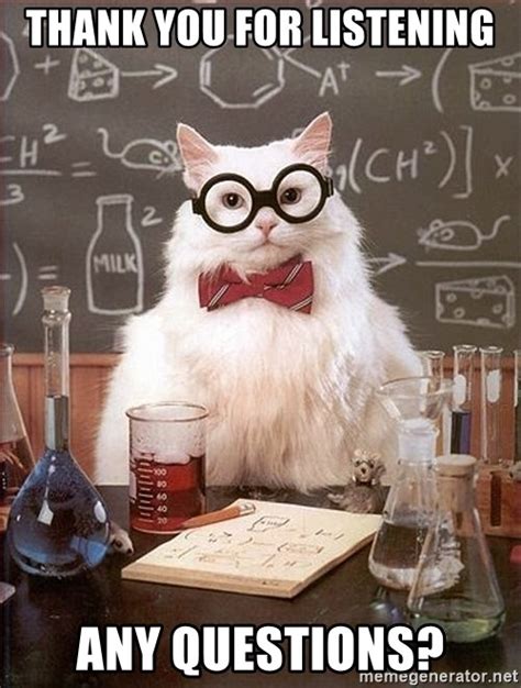 Thank You For Listening Any Questions Science Cat Meme Generator