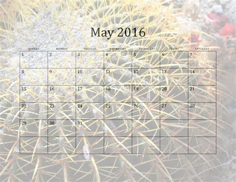 2016 May Monthly Calendar Free Stock Photo Public Domain Pictures