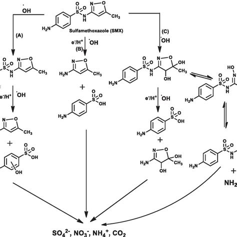 Proposed Degradation Mechanism Of Tetracycline Tc Via Photocatalysis