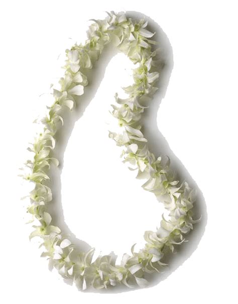 Single Orchid Lei White Ucla Pacific2you
