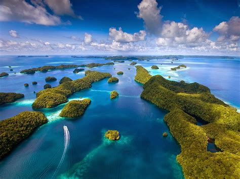 Turismo Viaje En Remo A Las Islas Palau