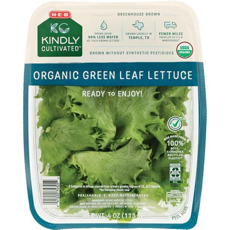 H E B Kindly Cultivated Fresh Organic Green Leaf Lettuce Shop Lettuce