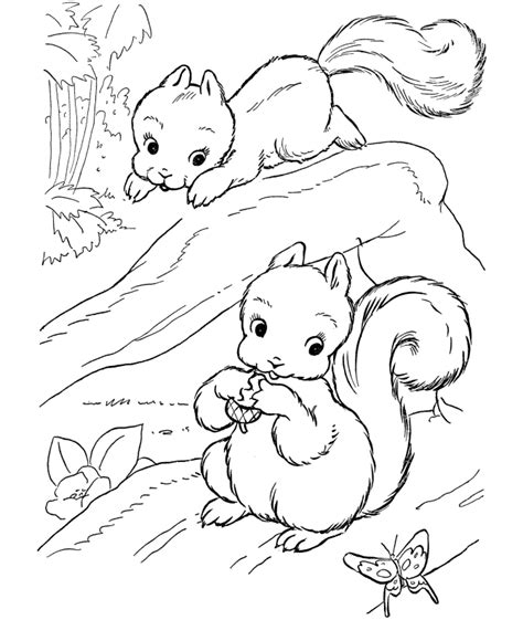 Forest Animals Coloring Pages Coloring Home