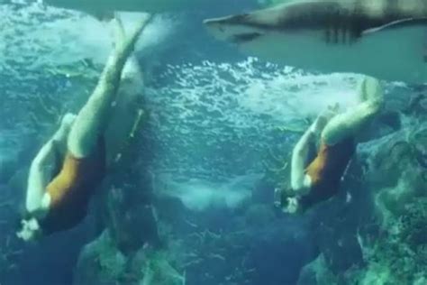 Brave Rihanna Swims With Real Sharks In Breathtaking New Shoot Irish Mirror Online