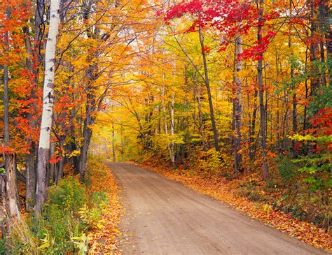 7 Best Fall Foliage Trips Globus Blog