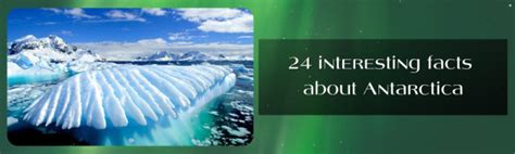 24 Interesting Facts About Antarctica A Thousand Facts