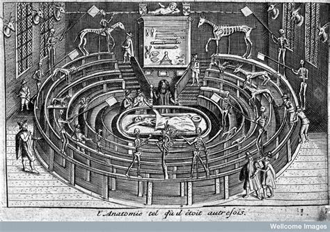 Credit Wellcome Library London Anatomical Theatre In Leiden In The