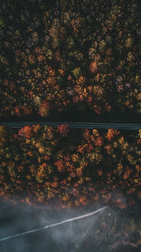 Download Apple Iphone X Autumn Forest Aerial Wallpaper