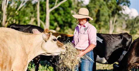 Things To Know About Aussie Farmers Eativity