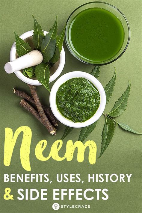 32 Top Benefits Of Neem Where To Buy It And Side Effects Artofit