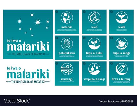 Nz Matariki Nine Stars Maori New Year Royalty Free Vector