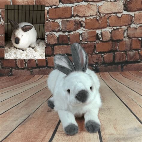 Custom Rabbit And Bunny Stuffed Animals Petsies
