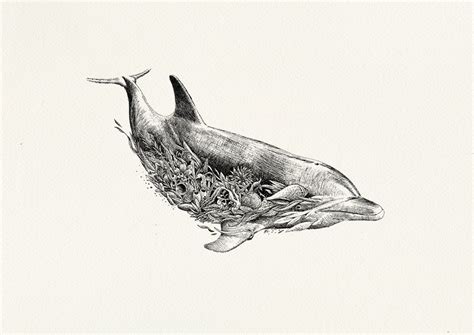 Art for wildlife conservation by australian artist nathan ferlazzo online store: Bottlenose Dolphin - Giclée Print - Marini Ferlazzo - Art ...