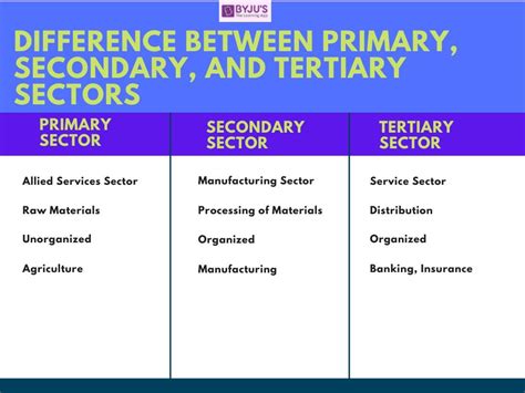 What Is Tertiary Sector