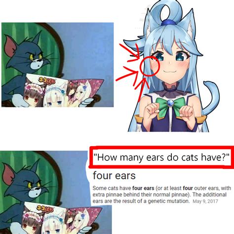 Cat Girl Cat With Human Ears Toxoplasmosis