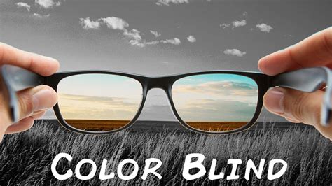 View 42 Eye Glasses For Color Blind