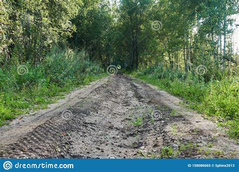 Old Country Dirt Road In The Middle Of The Forest Stock Image Image