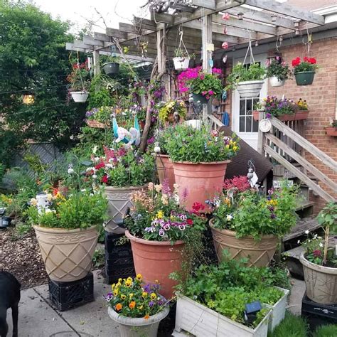 12 Gorgeous Flower Garden Ideas To Add To Your Home Centre County Food