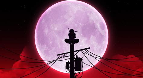 Blood Moon Itachi 4k Anime Live Wallpaper 34679