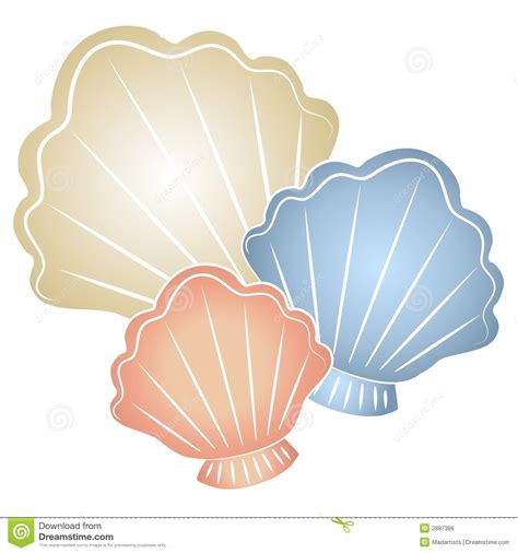 Clipart Shells 10 Free Cliparts Download Images On Clipground 2023