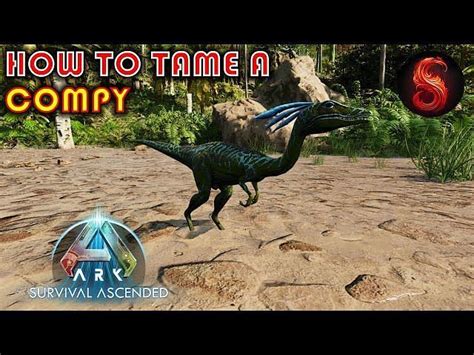 Ark Survival Ascended Compy Taming Guide