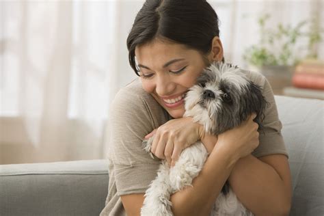 Are You A Pet Commitment Phobe Consider Dog Fostering Huffpost