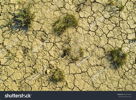 Dry Cracked Soil Grass Texture Background Stock Photo 683375044