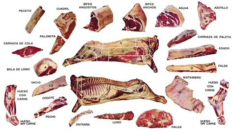 Parrilla Argentina Cortes De Carne Gastroactitud Pasión Por La Comida