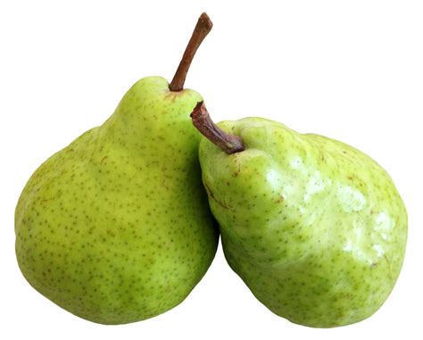 Pear Fruits Png Image Purepng Free Transparent Cc0 Png Image Library