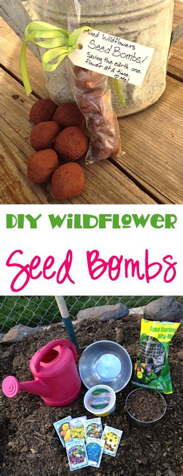 Diy Seed Bombs Wildflower Gardening T Idea The Frugal Girls